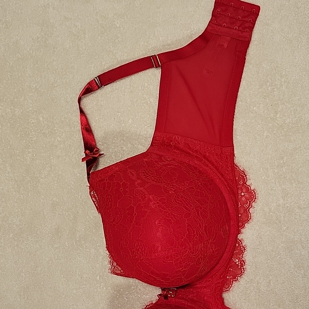Elegant Red Lace Bra - Picture 5 of 12
